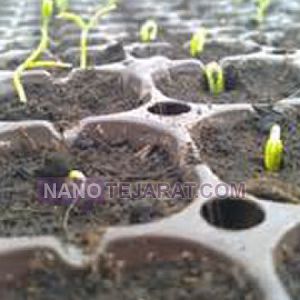 trance plant production trance plant production